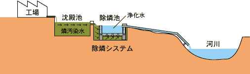 除燐システム