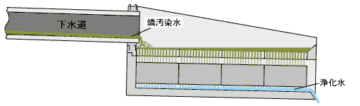 除燐システム