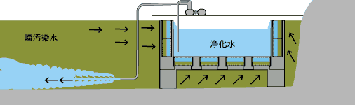 除燐システム