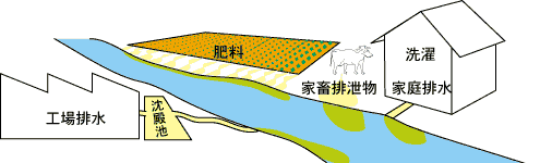 燐汚染原因