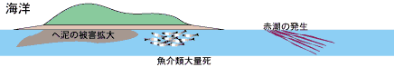 燐汚染影響